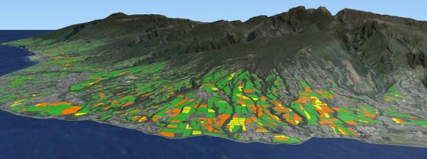 Cartographie du suivi de récolte de la canne à sucre à La Réunion  @Mickael Mézino, Cirad